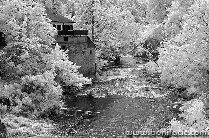 IRrastoke11mal