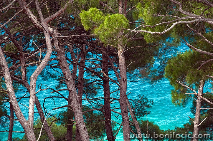 losinj2mal