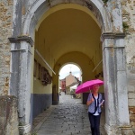 babarozalumbrelamotovun1mal