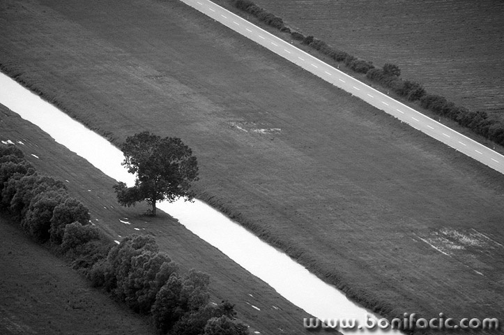 mirnastablocesta1BWmal