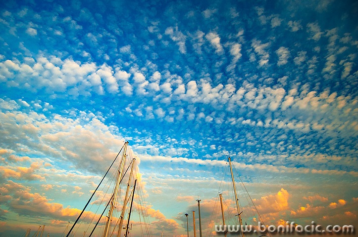 marinanebooblacijarboli2mal