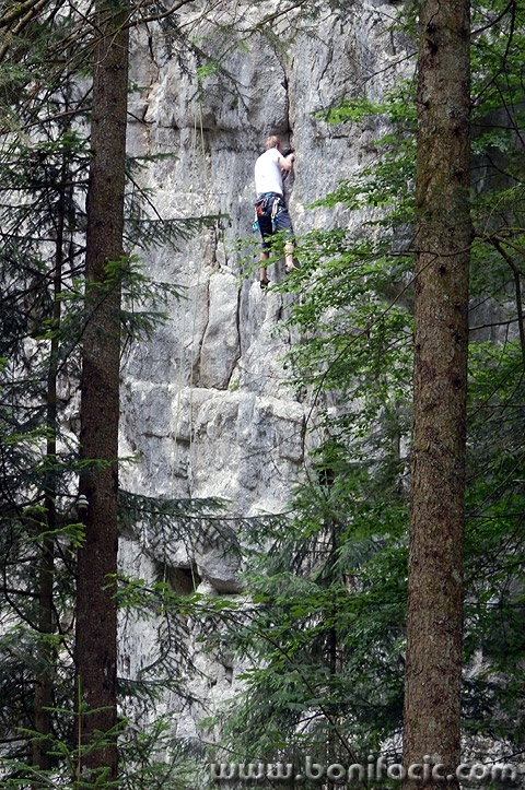 penjacgolubinjak3mal