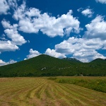 likapoljepokoseno1mal