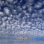 nature___San Marino Glory___Novi Vinodolski, Croatia.