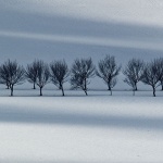 nature___Shadows___Krasno, Croatia.