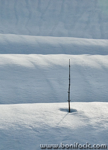 stilllife___Antenna___Crni Lug, Croatia.