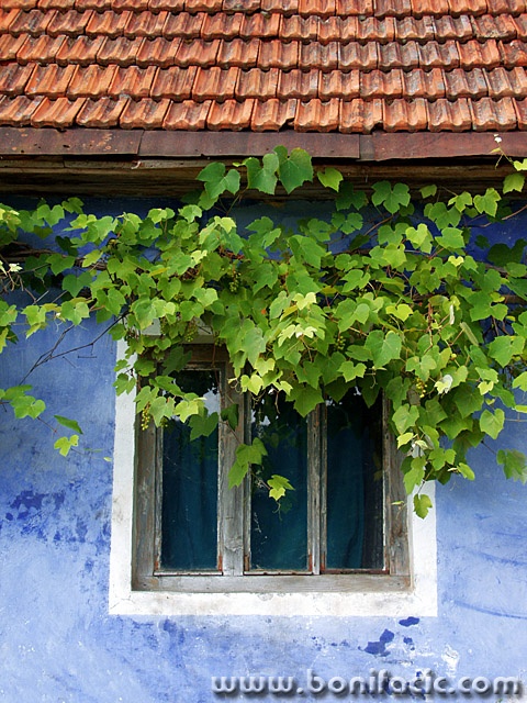 stilllife___Awning___Gomirje, Croatia.
