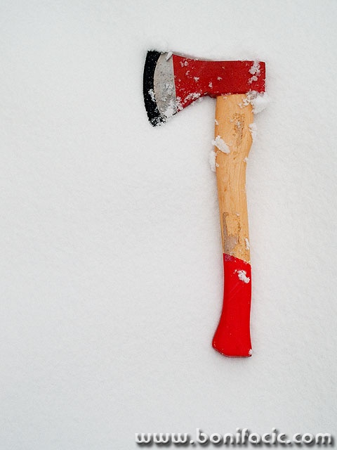 stilllife___Axe___Licka Jesenica, Croatia.