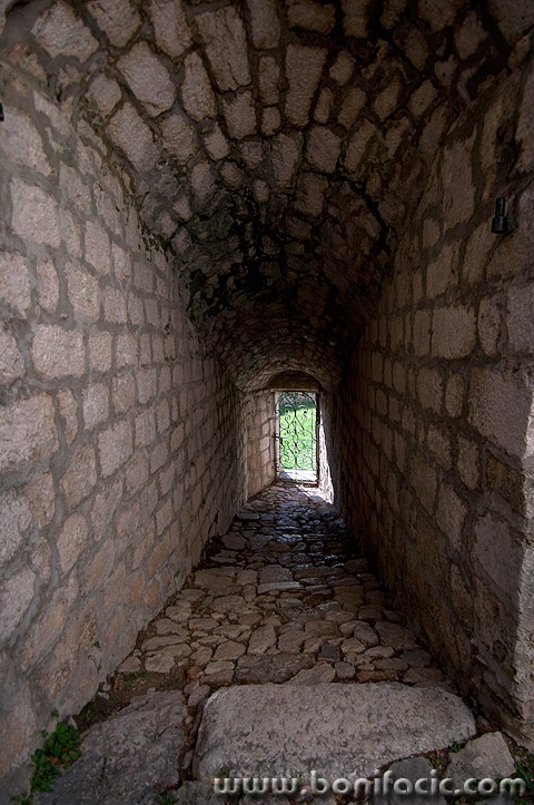 knin3mal