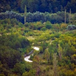 cestakotlinaknin1mal