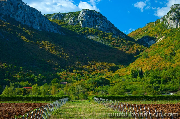 neretva31mal