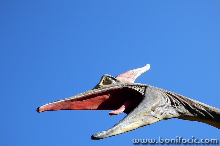 dinopark2mal