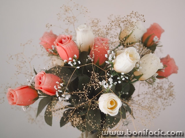 stilllife___Bouquet___