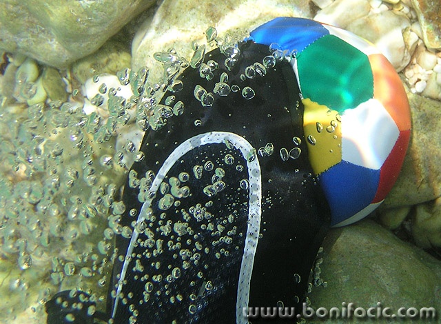 stilllife___Bubbles___Stara Baska, Croatia.
