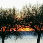 20161101_064833-723x480