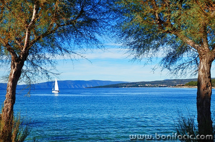 jedrilicatamaris1mal