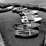 lucicaglavotok1BWmal