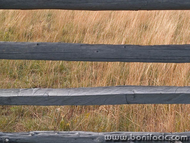 stilllife___Cage___National Park Northern Velebit, Croatia.
