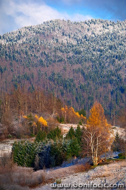 gkotar91mal