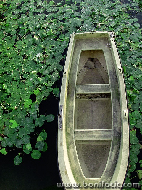 stilllife___Captivate___Krk, Croatia.