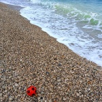 loptapuntadebilj1mal