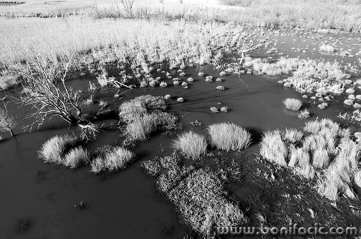 jezero4BWmal