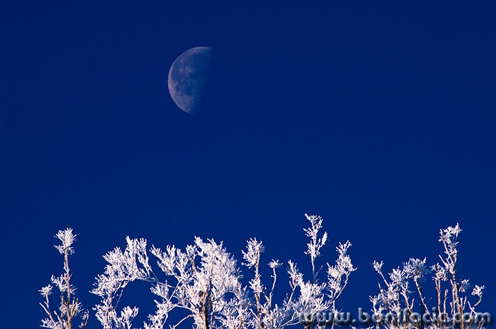 gkmoon15mal