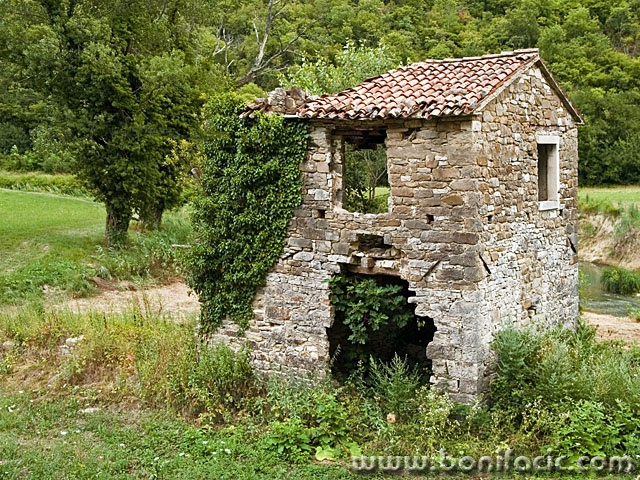 stilllife___Dilapidated House___Buzet, Croatia.