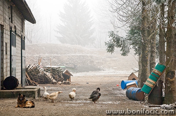 starilazguskemagla1mal