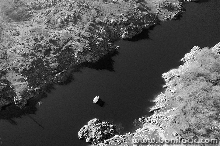 kaludjerovac2BWmal