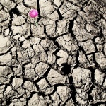 stilllife___Ebbtide___Punat, Croatia.