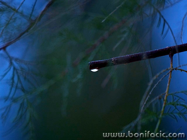 stilllife___Drop___Punat, Croatia.