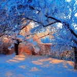 josipdoldvorsnig1mal