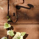 stilllife___Enter___Punat, Croatia.