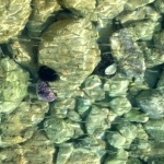 20170121_212323-723x480