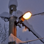 stilllife___Fawn___Mrzla Vodica, Croatia.