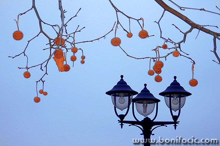 lampadok1mal