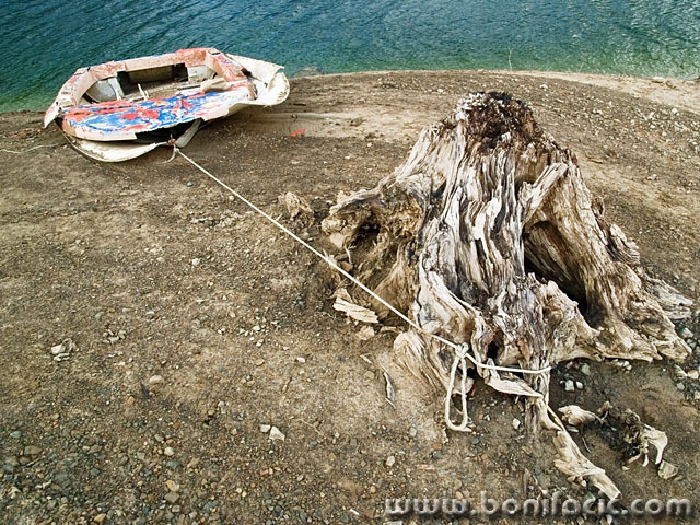 stilllife___Extracted___Lokve, Croatia.