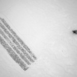 kuruzastablosnig1mal