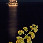 stilllife___Float On The Air___Dubrovnik, Crtoatia.