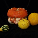 stilllife___Gang Of Four___