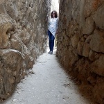 manuelauskaulica1mal