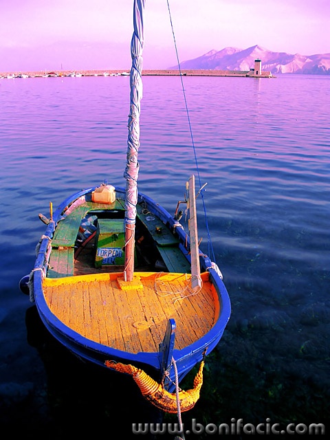 stilllife___Gaily___Baska, Croatia.