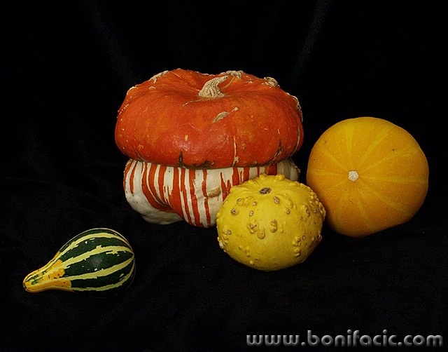 stilllife___Gang Of Four___