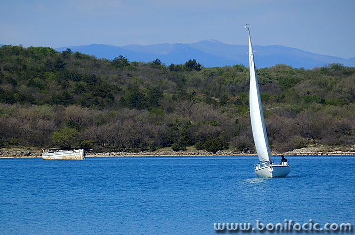 rudine23mal