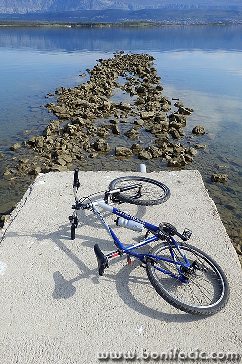 trek1mal
