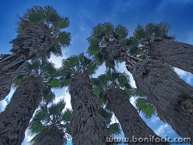 stilllife___Giants___Herceg Novi, Monte Negro.