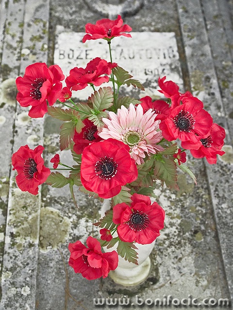 stilllife___Grave___Cavtat, Croatia.