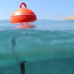 stilllife___Half Dry___Stara Baska, Croatia.