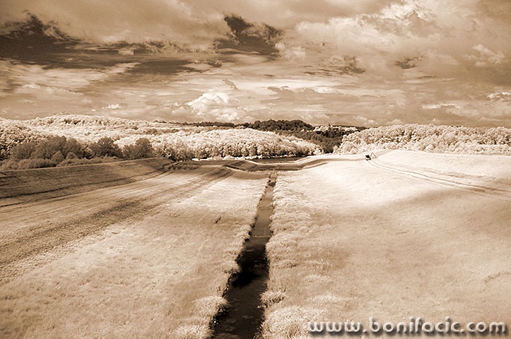 ozaljsepia4mal